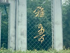 -雅鲁激流探险漂流