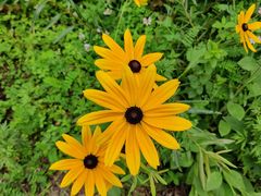 -青峰峡国家森林公园