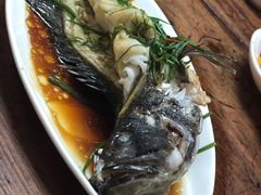 -开禾52阿伟海鲜加工