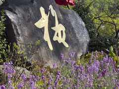 -无锡梅园公园