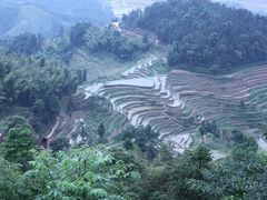 -紫鹊界梯田景区