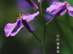 -中山公园