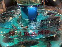 -魏铭鱼头捞饭(晋阳路店)