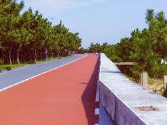 -日照灯塔风景区