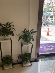 -香秀空间科技抗衰·美容中心