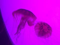 -沈阳海洋探索中心