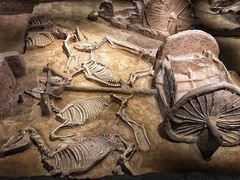 -洛阳周王城天子驾六博物馆