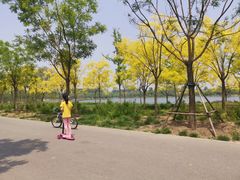 -东郊湿地公园