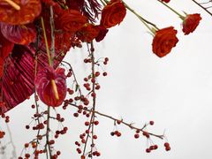 -广州白天鹅宾馆