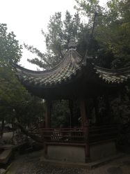 -苏州大学附属儿童医院(景德路院区)