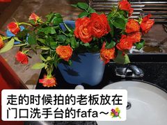 -双喜农庄·菌香园(安居家园店)