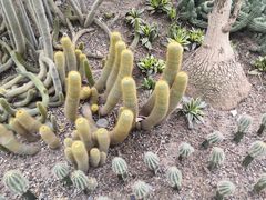 -南山植物园