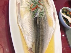 -同庆楼(金宝汇店)