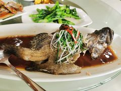 -南庄酒家·海鲜粤菜·25年老字号(环城南路店)