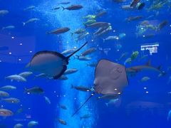 -成都浩海立方海洋公园