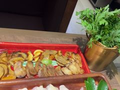 -蘑界·野生菌火锅(深业上城店)