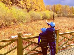 -塞罕坝国家级自然保护区