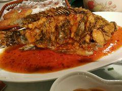 -桂林肥仔·中华餐饮名店(园湖店)