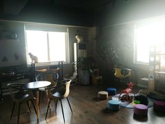 -东方名猫馆·英短金渐层布偶猫舍(环线广场1号楼店)