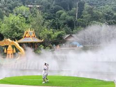 -西双版纳原始森林公园