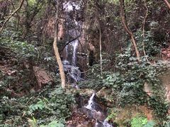 -南丹山森林王国