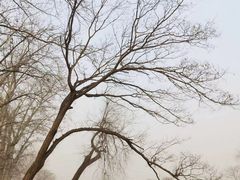 景点-赵州桥景区