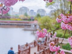 -北岭山森林公园