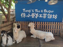 -佟小曼手工茶饼坊(鼓浪屿1店)
