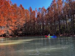 -上海海湾国家森林公园