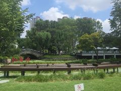 -和平公园