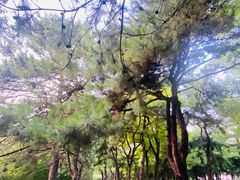 -元大都城垣遗址公园