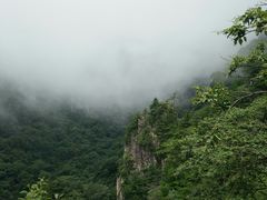 -牛背梁国家森林公园