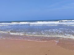 -日照海滨国家森林公园