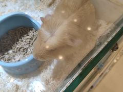 -凯德广场(武胜路店)