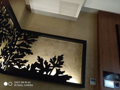 -新紫霞养生·影院足道·SPA(金山区店)
