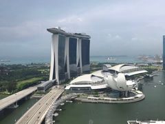 -新加坡丽思卡尔顿美年酒店