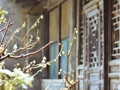 -颐和园