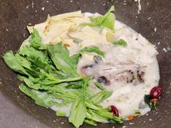 -鲜潭蒸汽石锅鱼(五道口购物中心店)