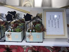 -花未央花店·WEYOUNG