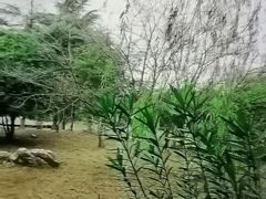 -堤角公园