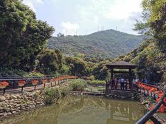 -月亮湾公园