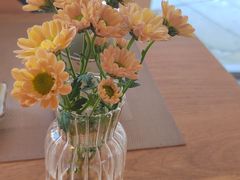 -酒井酱子·深夜食堂(东城汇店)