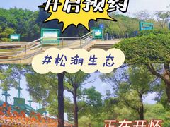 -松山湖南湖湾露营营地