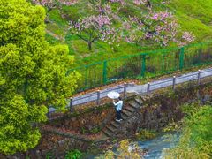 -云和湖仙宫景区