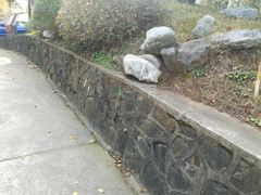 -菊花台公园