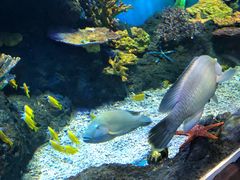 -华夏文旅海洋公园