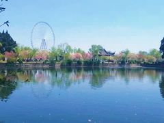 -无锡蠡湖国家湿地公园-蠡园
