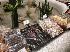 -OUR Bakery(SKP-S店)