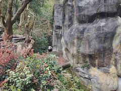 -川匠·睡眠采耳·SPA(九眼桥店)