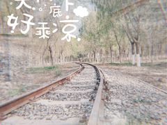 -西青郊野公园